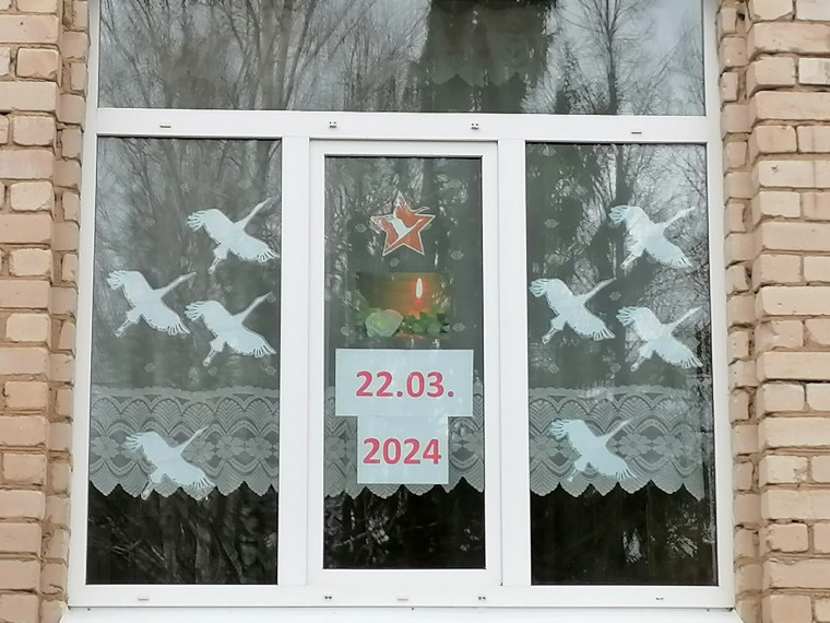Всероссийская акция «Окна памяти» и «Журавли».
