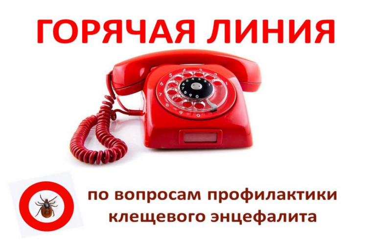 Старт «горячей линии» по вопросам клещевого энцефалита.